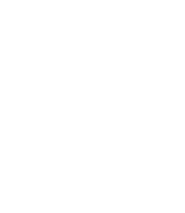 dx5 Logo